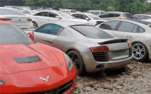 最新瑪莎爆料視頻大全,揭秘娛樂圈幕后真相