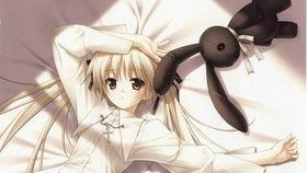 阿貍最新爆料視頻大全,揭秘萌寵背后的秘密