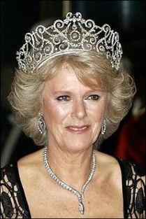 卡米拉最新爆料頭條新聞,揭開王室秘辛，震驚公眾眼球！