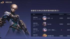 aov先行服最新爆料,揭秘游戲新玩法與神秘更新內容